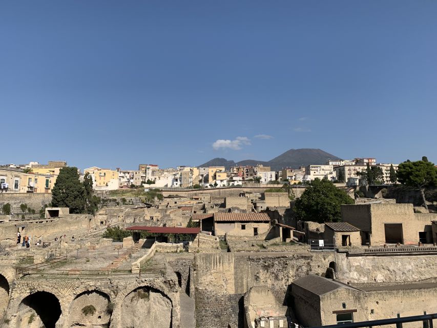Herculaneum: Tickets & Tour with a Local Archaeologist - Is $58 a fair price?