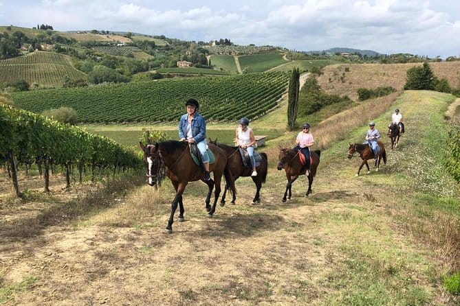 Horseback Ride in S.Gimignano with Tuscan Lunch Chianti Tasting - The highlights at a glance