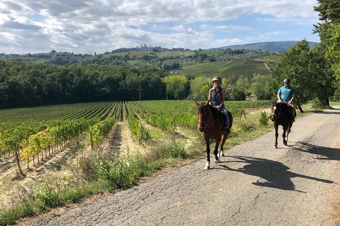 Horseback Ride in S.Gimignano with Tuscan Lunch Chianti Tasting - The horseback ride through olive groves and farm country