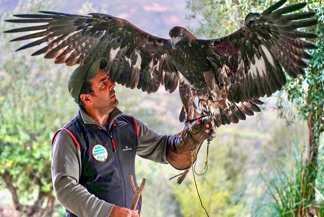 Interactive Educational Course on Birds of Prey - The Pollino setting outside Civita