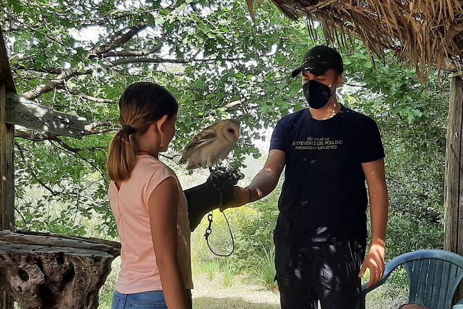 Interactive Educational Course on Birds of Prey - Price, private groups, and what your $42.34 buys