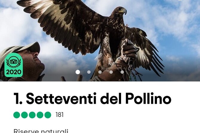 Interactive Educational Course on Birds of Prey - Timing, arrival, and simple planning advice