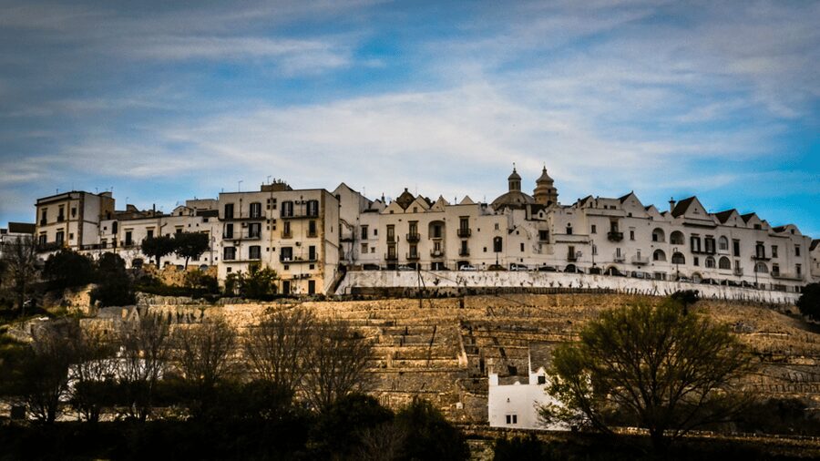Itria Valley: Polignano, Ostuni, and Locorotondo, from Bari - The bus, drivers, and day-to-day organization