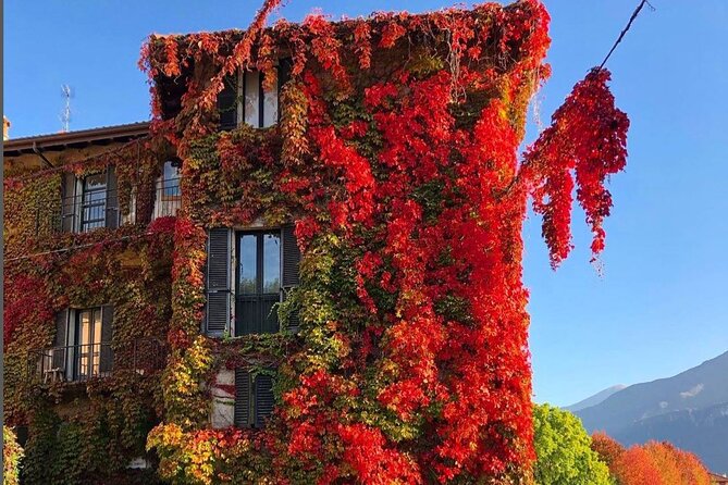Lake Como & Bellagio Day Trip with Private Boat Cruise - The private boat cruise from Tremezzina