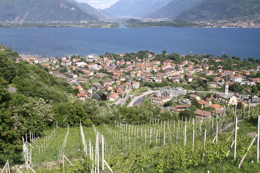 Lake Como: Winery Tour with Wine Tasting - The cellar visit: seeing where the wine ages