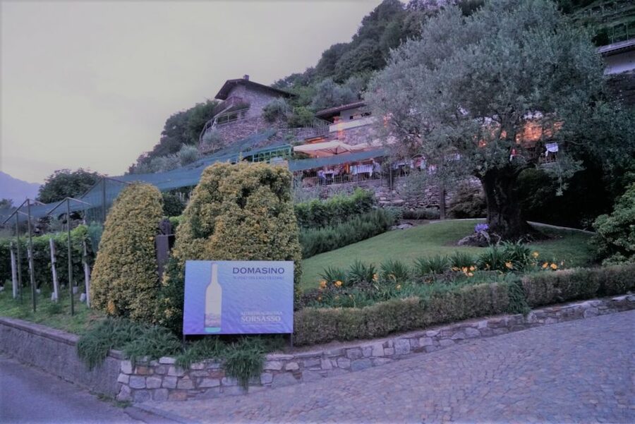 Lake Como: Winery Tour with Wine Tasting - The terrace and the northern end of Lake Como