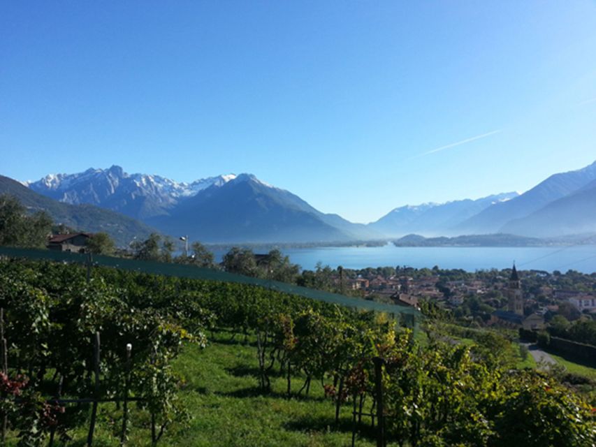 Lake Como: Winery Tour with Wine Tasting - How long the 90-minute visit really feels