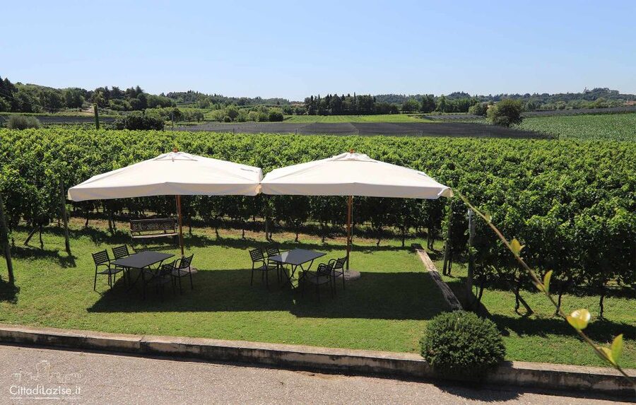 Lake Garda: Wine and Food Tastings in the Vineyards - Booking advice for a smoother visit