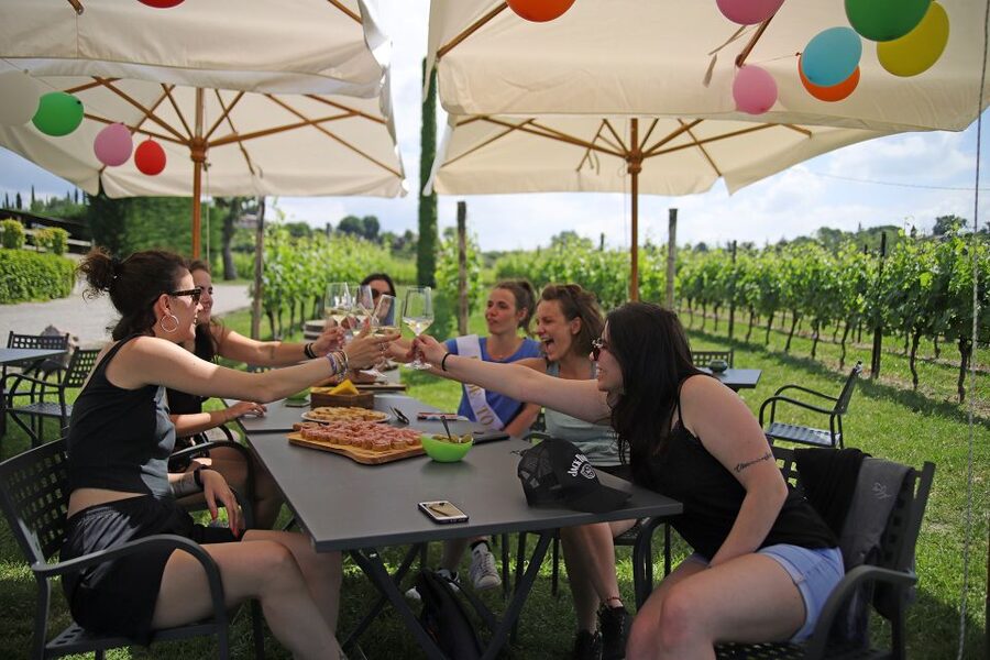 Lake Garda: Wine and Food Tastings in the Vineyards - The hosts shape the experience
