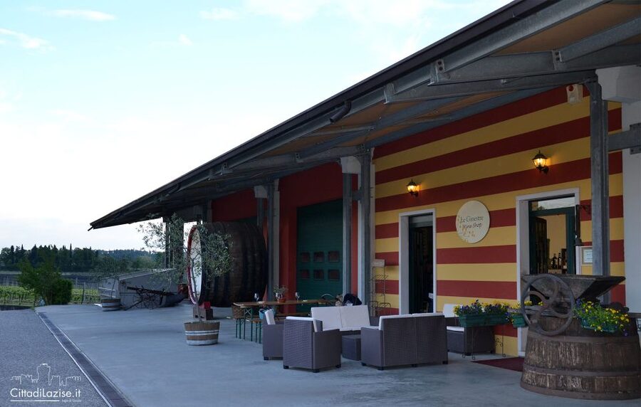 Lake Garda: Wine and Food Tastings in the Vineyards - Who should book this tasting?