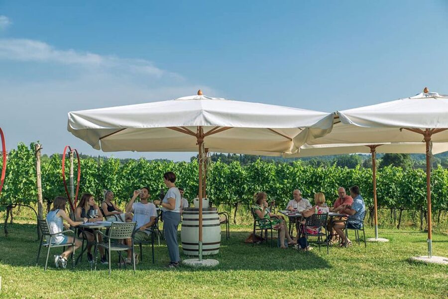 Lake Garda: Wine and Food Tastings in the Vineyards - Six wines, from Garganega to bold reds