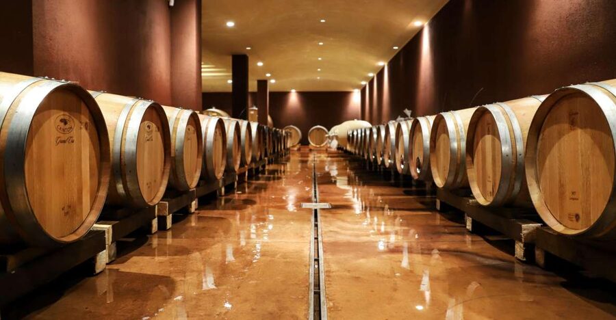 Lake Garda: Wine Tour and Tasting Experience in Bardolino - Key points at a glance