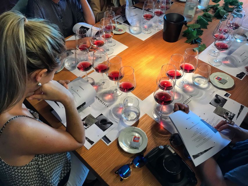 Lake Garda: Wine Tour and Tasting Experience in Bardolino - Why this Bardolino wine tour works