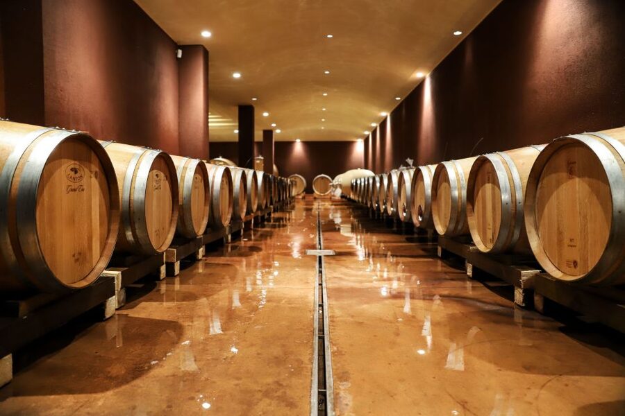 Lake Garda: Wine Tour and Tasting Experience in Bardolino - Inside the winery: from harvest to bottle