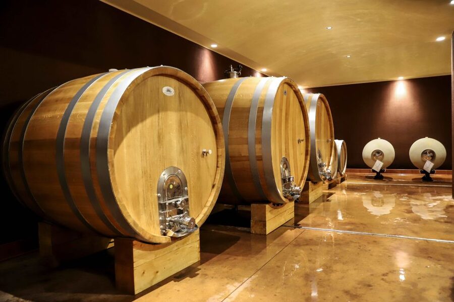 Lake Garda: Wine Tour and Tasting Experience in Bardolino - Is $47 a fair price?