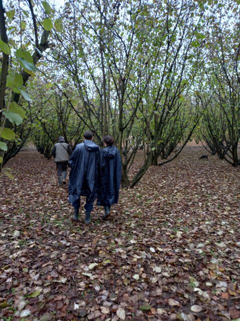 Langhe: Truffle Hunting Experience - Walking the Woods: Short, But Not Always Easy