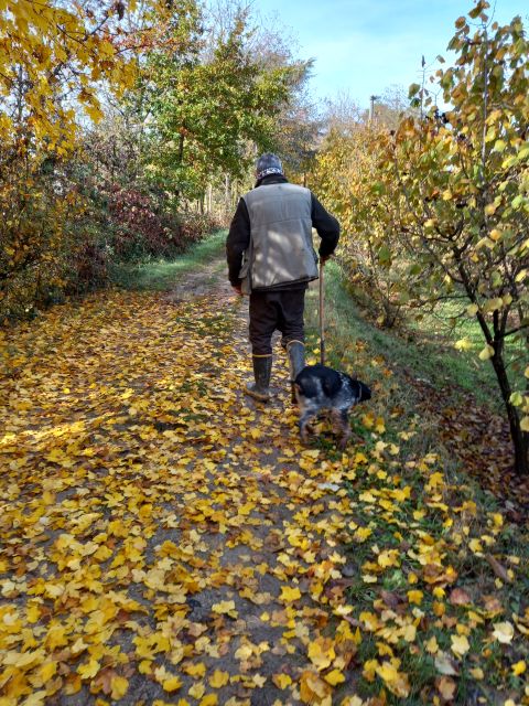 Langhe: Truffle Hunting Experience - How to Plan Your Day Around It