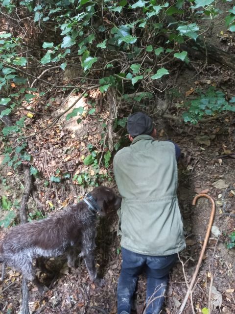 Langhe: Truffle Hunting Experience - How the Dog Finds What You Cannot
