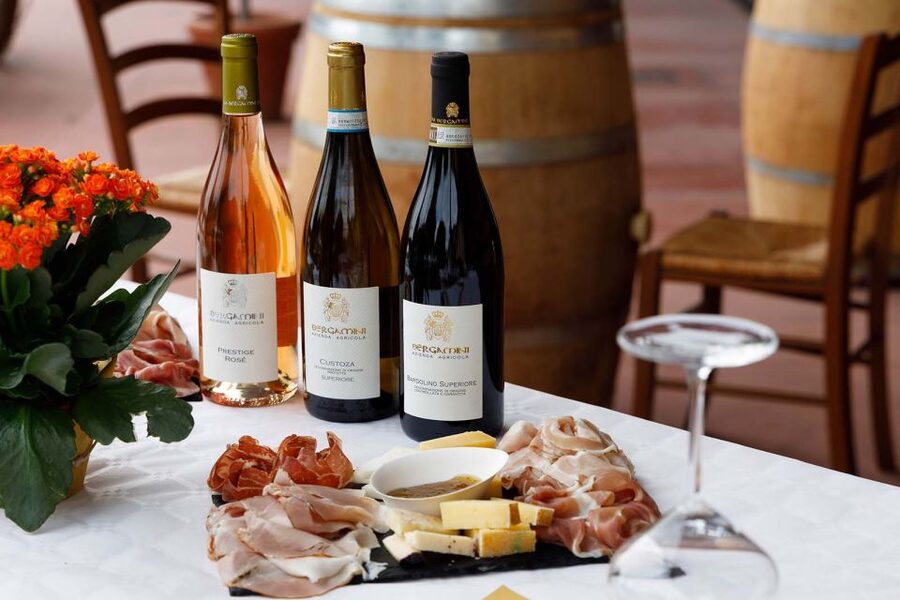 Lazise: Winery Tour with Garda Wines and Food Tasting - Key points to know before you go