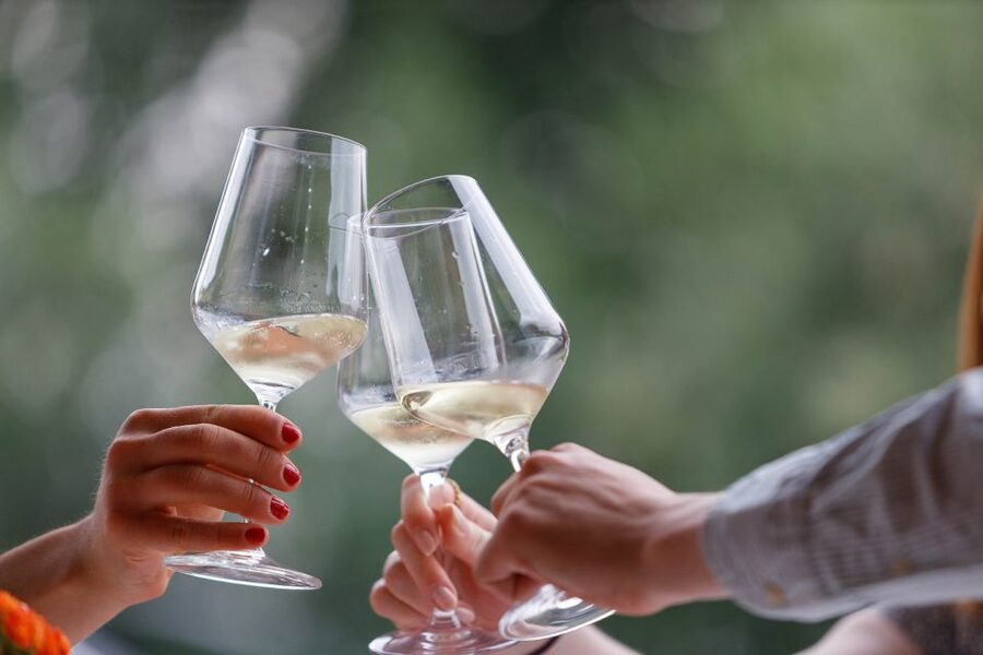 Lazise: Winery Tour with Garda Wines and Food Tasting - Seeing fermentation and aging inside the cellar