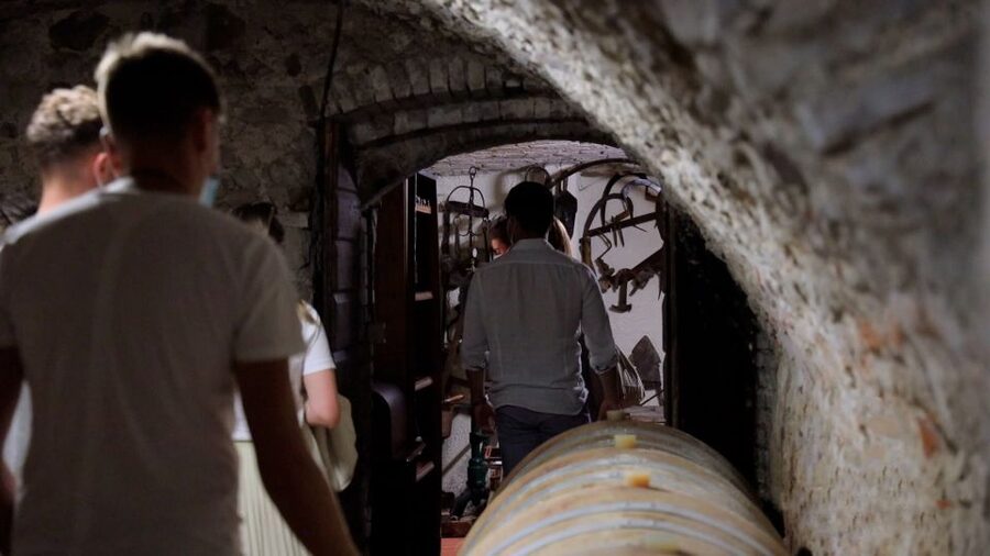 Lazise: Winery Tour with Garda Wines and Food Tasting - Tasting Bardolino, Chiaretto, and Custoza