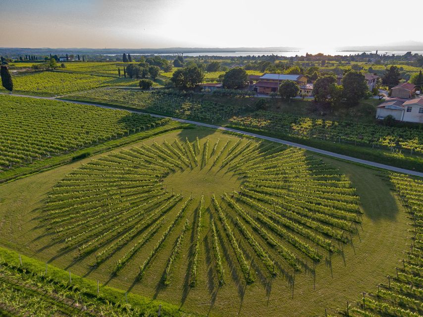 Lazise: Winery Tour with Garda Wines and Food Tasting - Pairing wine with Garda foods