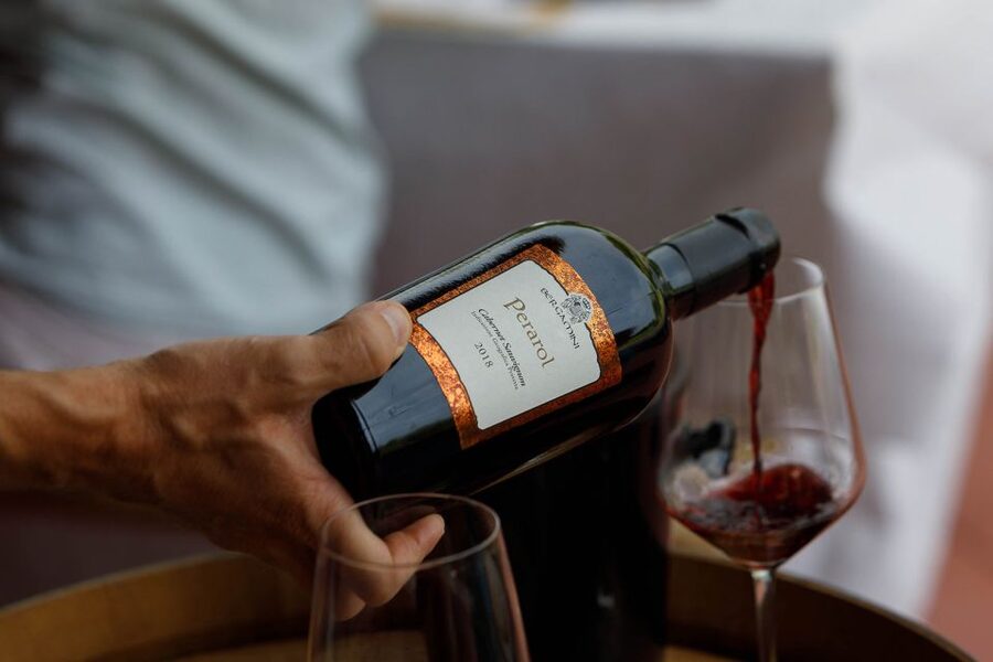 Lazise: Winery Tour with Garda Wines and Food Tasting - The guides make the difference