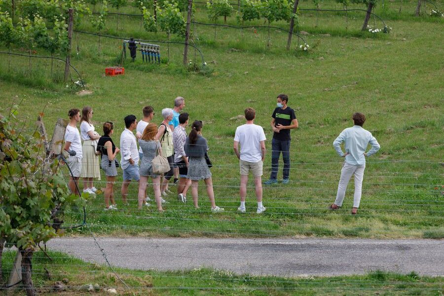 Lazise: Winery Tour with Garda Wines and Food Tasting - Who will enjoy this winery visit?