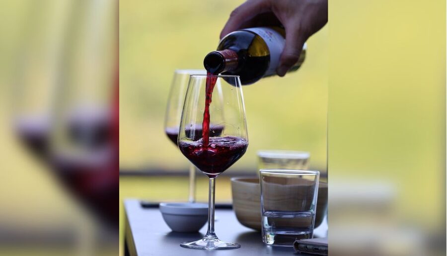 Lucca: Guided Winery Tour with Wine Tasting - Key points to know before you go