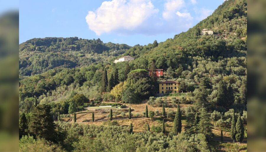 Lucca: Guided Winery Tour with Wine Tasting - Practical advice for a smoother visit