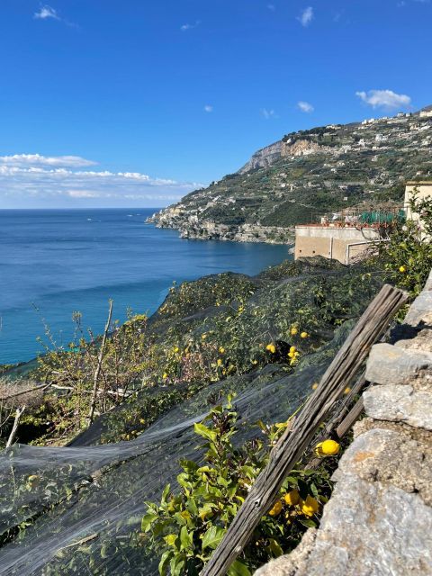 Maiori: Amalfi Coast Path of Lemons Day Trip with Tastings - Key points at a glance