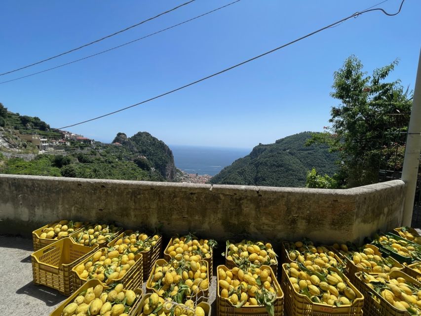 Maiori: Amalfi Coast Path of Lemons Day Trip with Tastings - Belvedere Mortella brings the postcard view