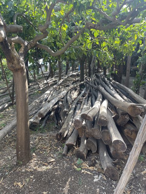 Maiori: Amalfi Coast Path of Lemons Day Trip with Tastings - The final stretch into Minori