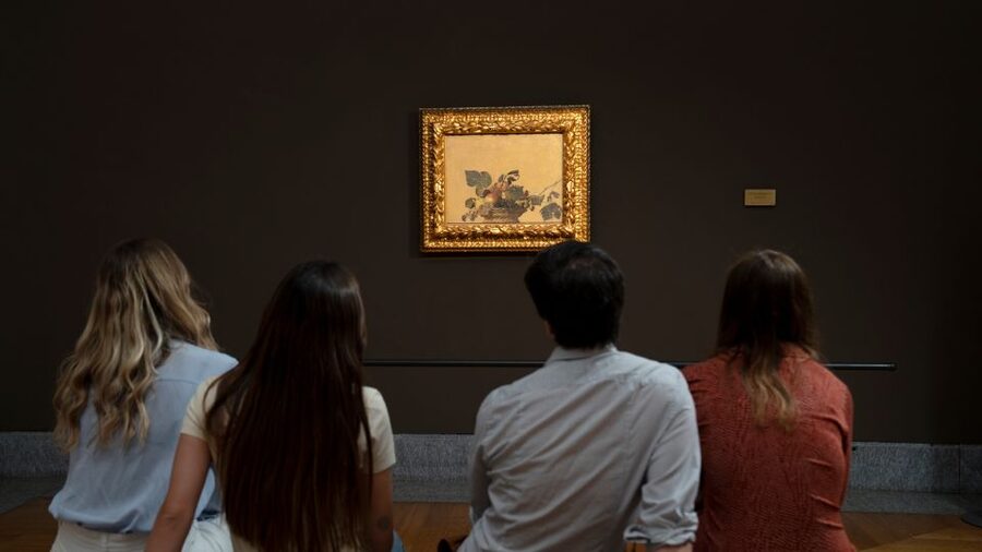Milan: Pinacoteca Ambrosiana and San Sepolcro Crypt Ticket - Caravaggio, Raphael, and the paintings worth seeking