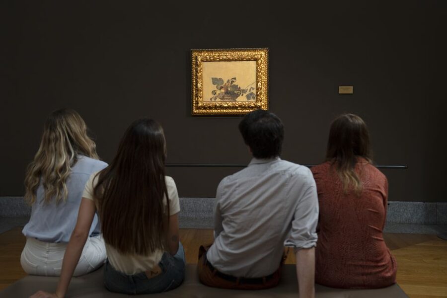 Milan: Pinacoteca Ambrosiana & da Vinci Codex Exhibition - Price, value, and small practical drawbacks