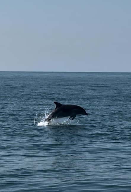 Milano Marittima: Riviera Romagnola Half-Day Boat Tour - Shell farms and the working coast
