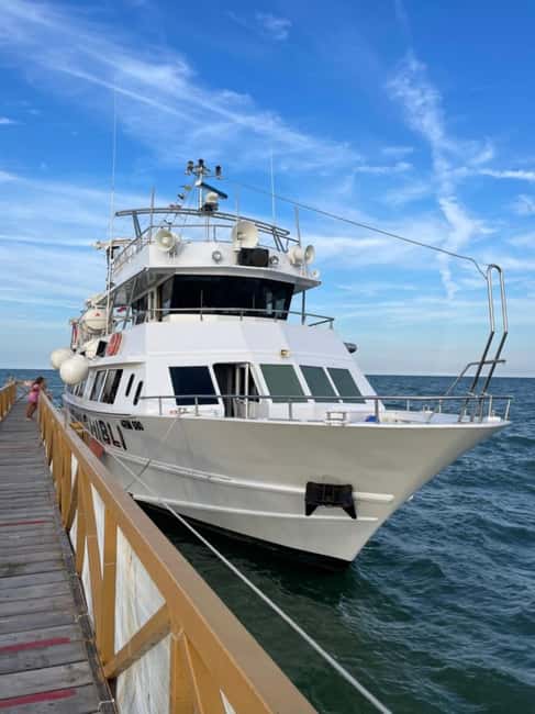 Milano Marittima: Riviera Romagnola Half-Day Boat Tour - Leaving port and passing Cesenatico