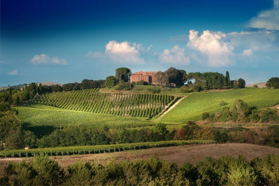 Montalcino: Brunello Wine Tasting & Lunch in a Tuscan Castle - Arriving at Castello Tricerchi in Montalcino