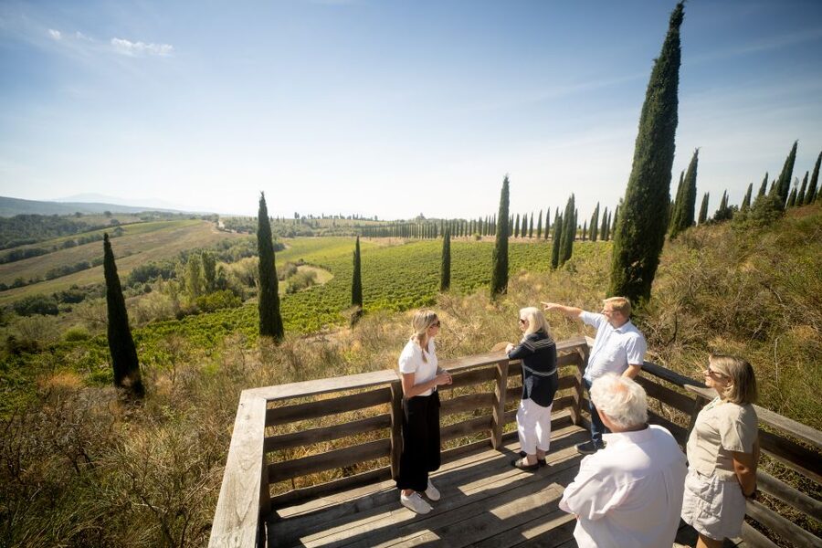 Montalcino: Guided Winery Tour and Wine Tasting - From grape processing to the cross-vaulted cellar