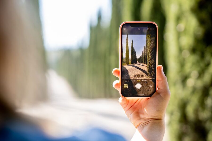 Montalcino: Guided Winery Tour and Wine Tasting - Who should book this experience