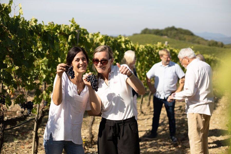 Montalcino: Guided Winery Tour and Wine Tasting - Walking through the vineyards for one hour