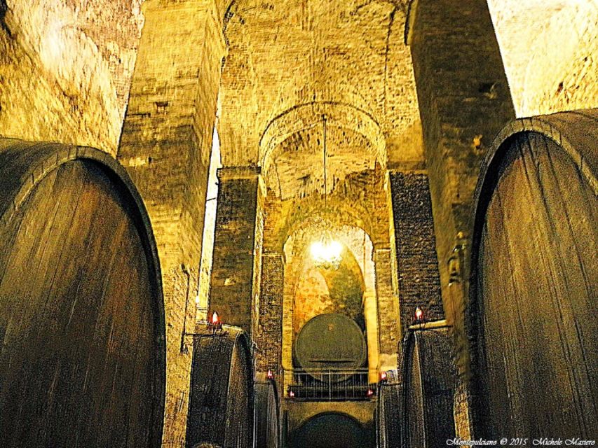 Montepulciano: Wine Tasting and Cellar Tour - Key points at a glance