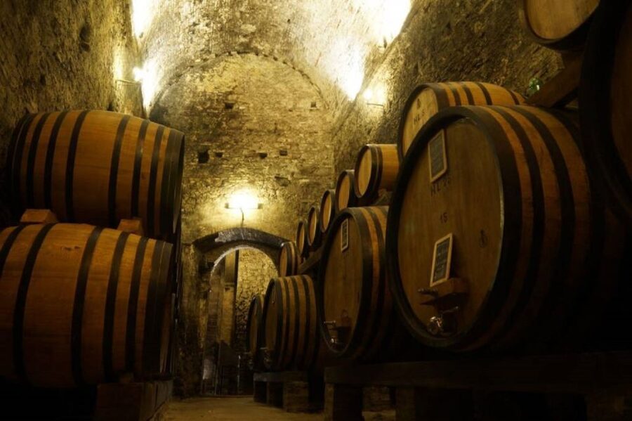 Montepulciano: Wine Tasting and Cellar Tour - Tasting five Tuscan DOC and DOCG wines