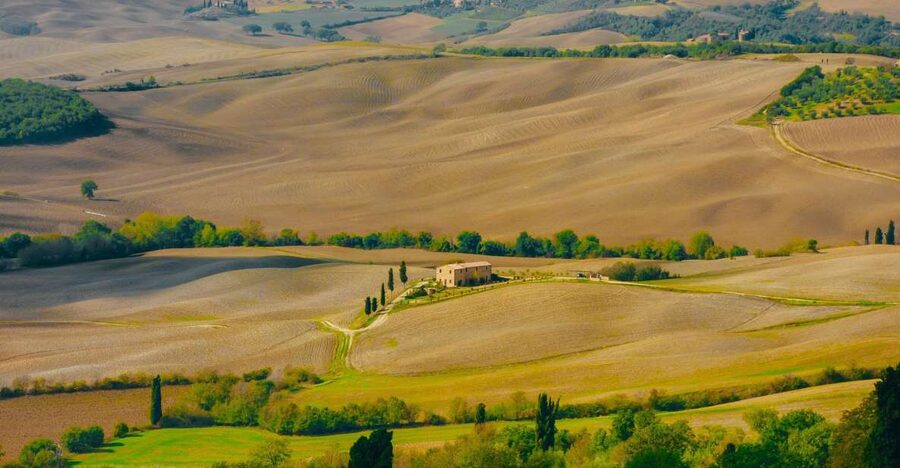 Montepulciano: Wine Tasting & Lunch in a Typical Winery - Key points at a glance