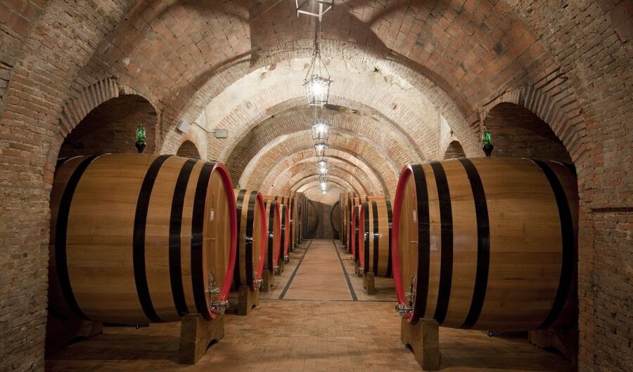 Montepulciano: Wine Tasting & Lunch in a Typical Winery - Learning the local wine rules with a sommelier