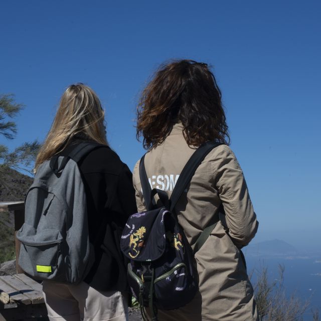 Mount Vesuvius: Skip-the-Line Ticket and Smart Digital Guide - What this Vesuvius experience actually includes