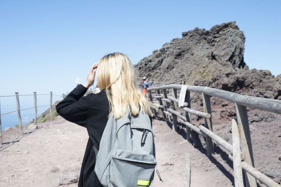 Mount Vesuvius: Skip-the-Line Ticket and Smart Digital Guide - The time slot and WhatsApp ticket delivery