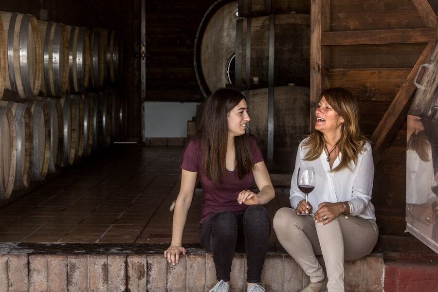 Mount Vesuvius: Vineyard Tour with Wine Tasting and Lunch - Is $65 a good value?