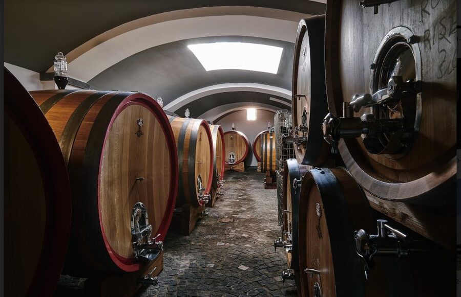 Mount Vesuvius: Vineyard Tour with Wine Tasting and Lunch - Who will enjoy this experience most?