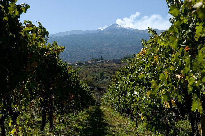 Mt Etna and Wine tasting tour from Catania - Parco dell’Etna and choosing your pace